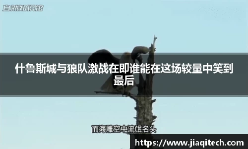 williamhill威廉希尔
